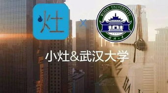 小灶 x26amp 武漢大學 四大和互聯網企業,你會選哪個