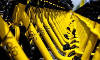 ofo 回應異?？圪M 抖音回應廣告業務被停 余額寶總規模達 1.8 萬億元